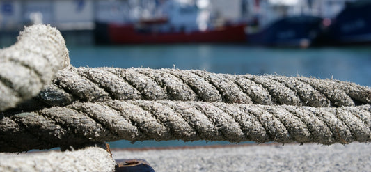 ¿Por qué incluir las anchoas de Santoña en tu negocio?